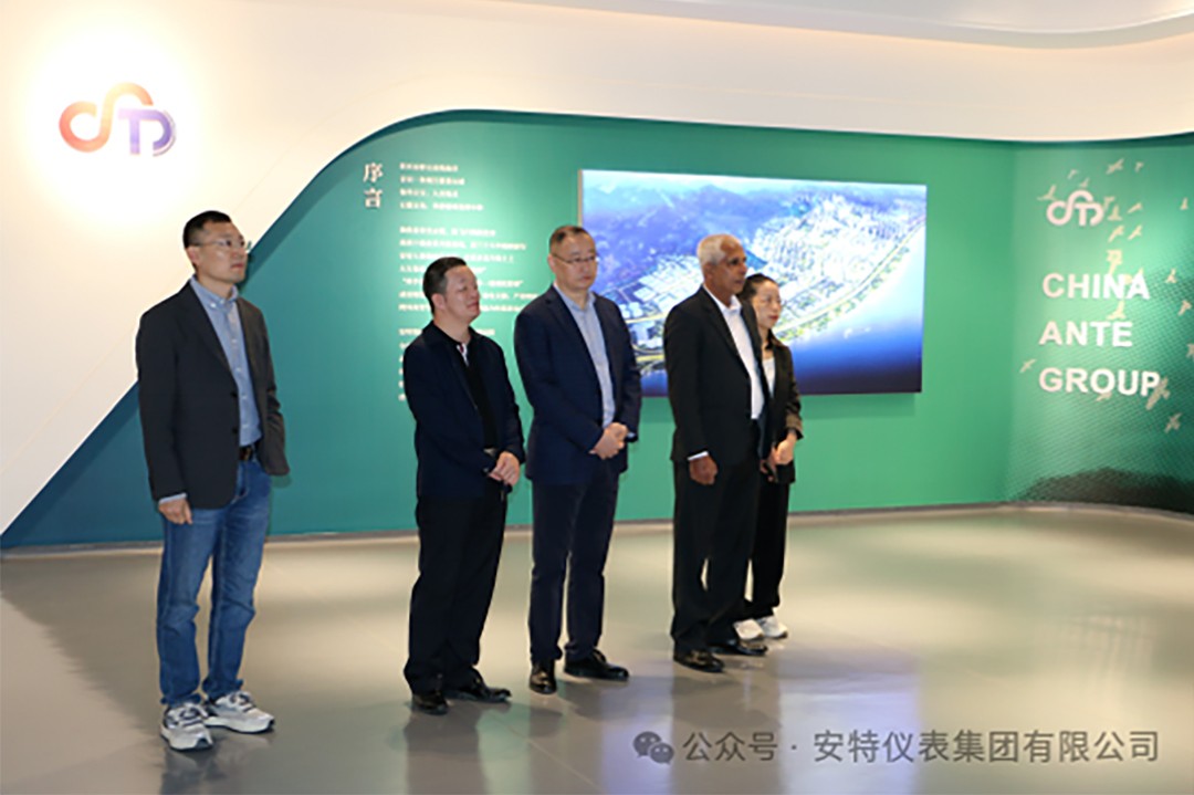 安特儀表集團有限公司