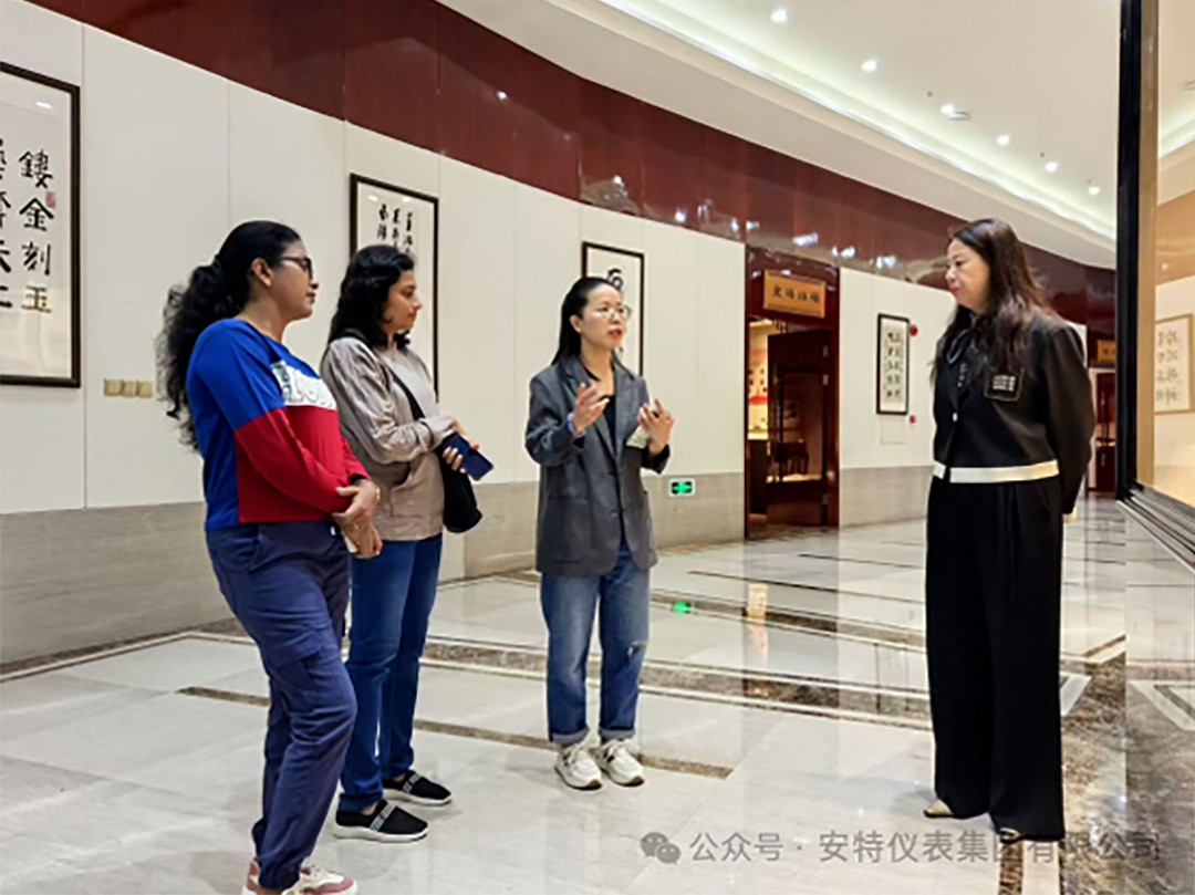 安特儀表集團有限公司