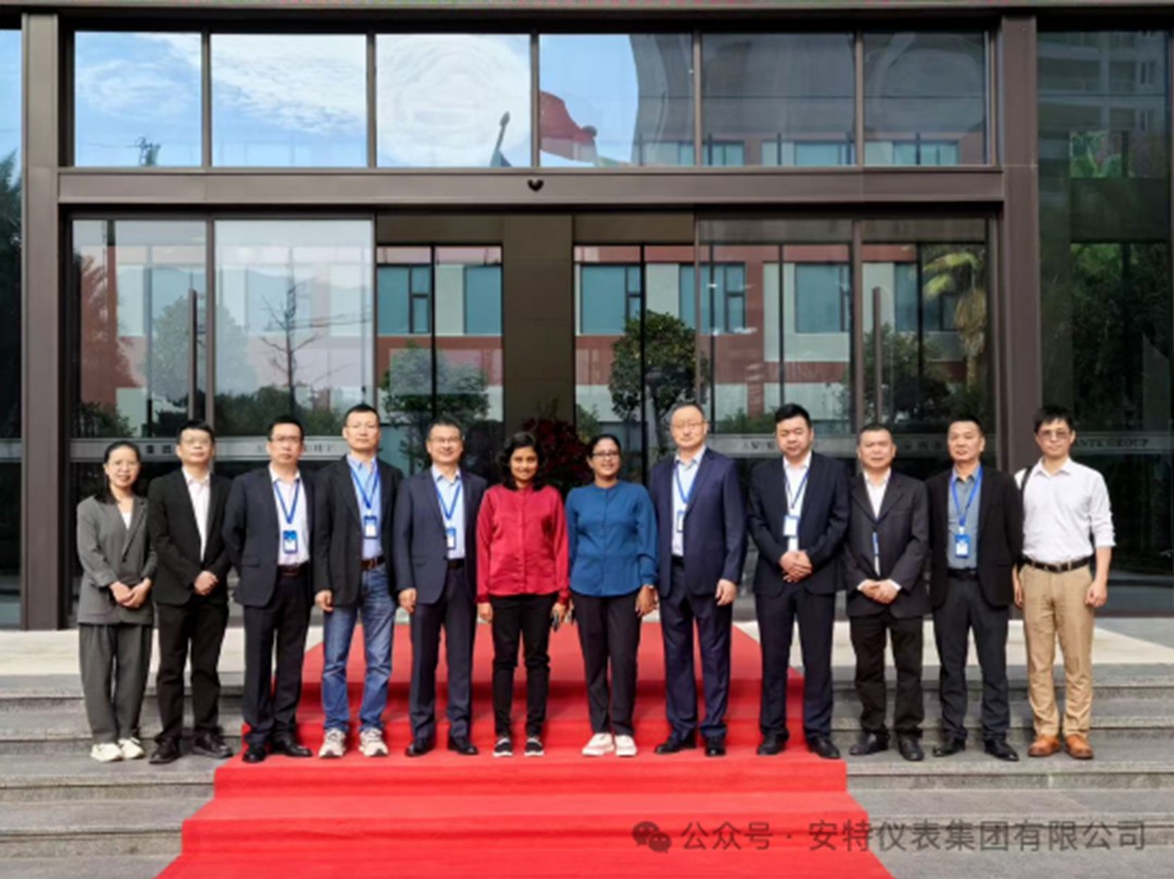安特儀表集團有限公司