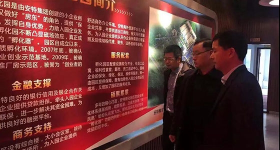 麗水市經信局副局長李建軍一行對安特小微企業孵化園進行調研