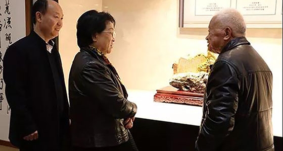 原北京故宮博物院副院長陳麗華來我館參觀指導