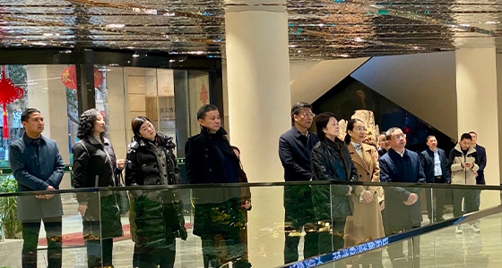省人大副主任吳晶攜省人大調(diào)研組為東堡山博物館群項目賦能，共繪“世界青田”美好藍圖